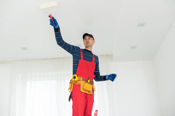 Trusted Bonita Springs, FL Dry wall and painting Experts